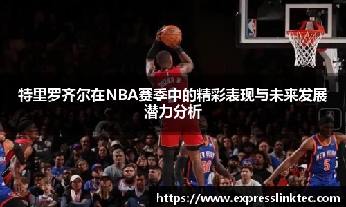 特里罗齐尔在NBA赛季中的精彩表现与未来发展潜力分析
